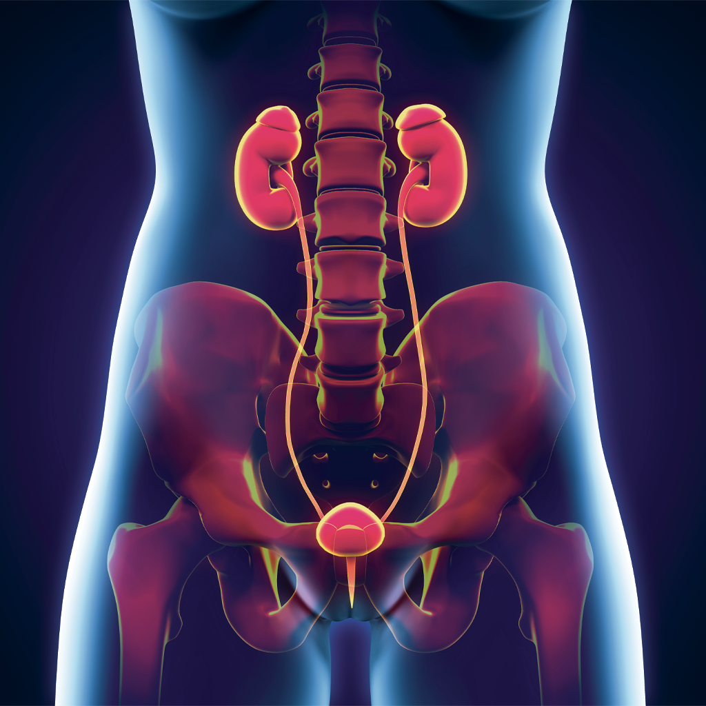 kidney disease or renal failure treatment in Minnesota