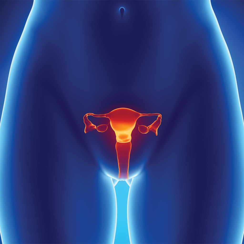uterine fibroids or pelvic congestion syndrome treatment in Minnesota