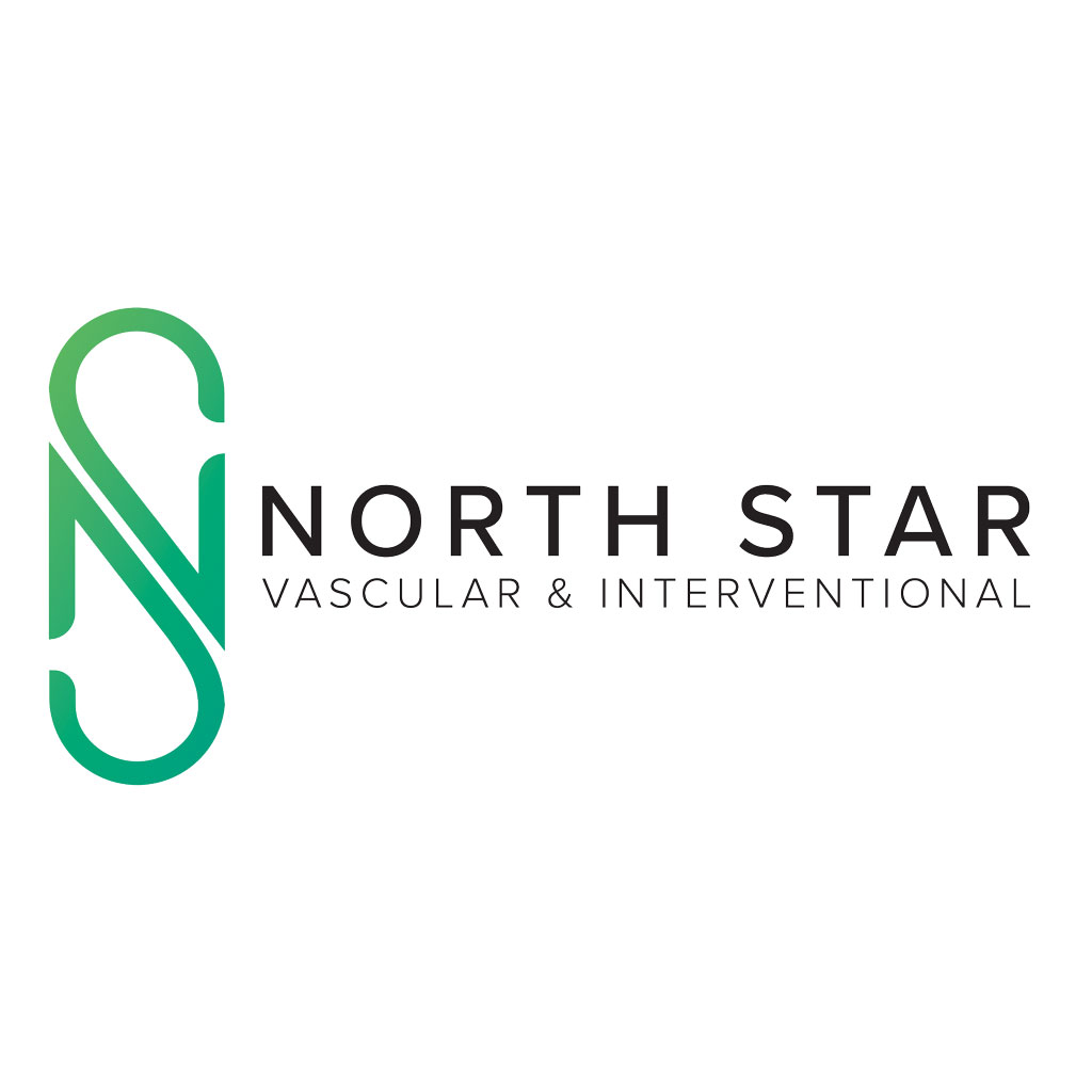 North Star Logo for Hemorrhoid Artery Embolization (HAE) Summit Course